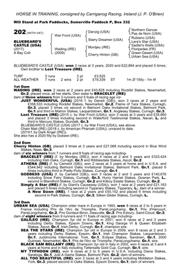 HORSE in TRAINING, Consigned by Carriganog Racing, Ireland (J
