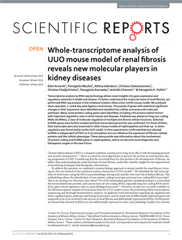 Whole-Transcriptome Analysis of UUO Mouse Model of Renal Fibrosis