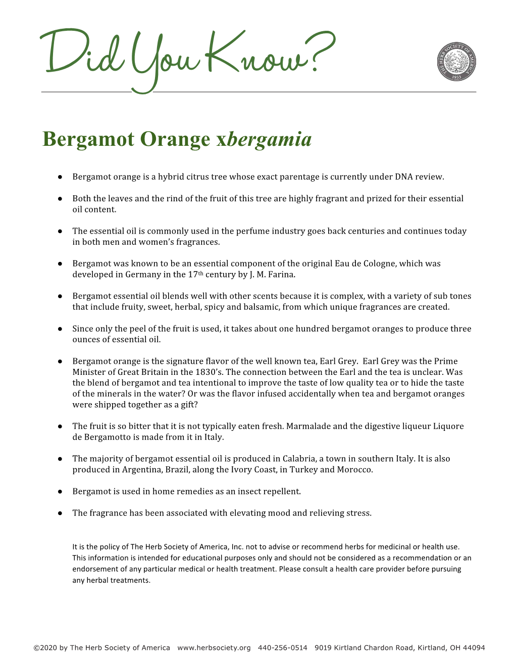 Bergamot Orange Xbergamia