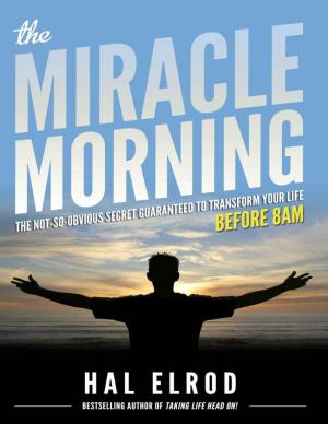 The Miracle Morning.Pdf