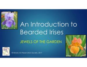 An Introduction to Bearded Irises