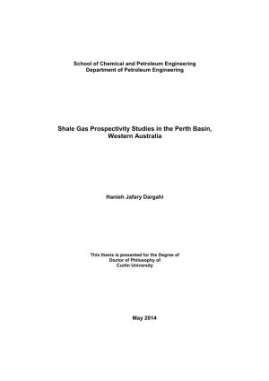 Shale Gas Prospectivity Studies in the Perth Basin, Western Australia