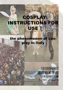 2009 Cosplay Fairs