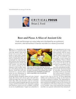 Critical Focus | Brian J