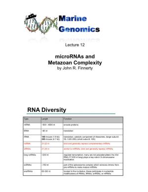 RNA Diversity