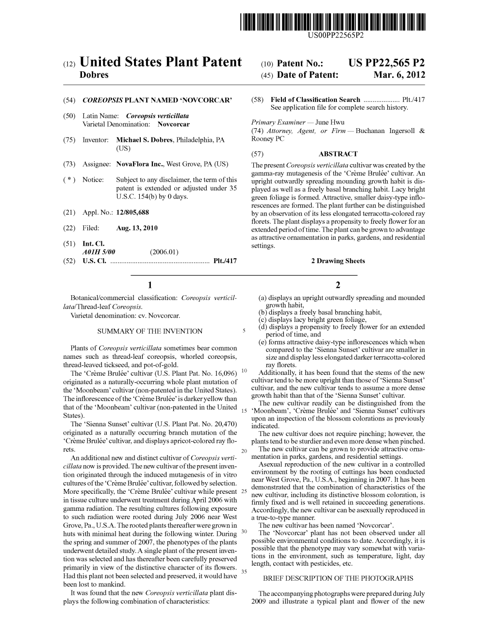 (12) United States Plant Patent (10) Patent N0.: US PP22,565 P2 Dobres (45) Date of Patent: Mar