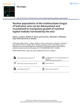 Nuclear Populations of the Multinucleate Fungus of Leafcutter