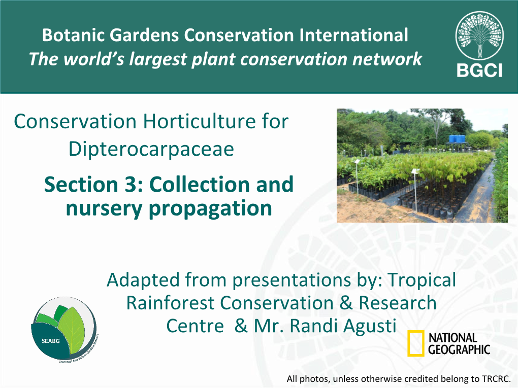 Conservation Horticulture for Dipterocarpaceae Section 3: Collection and Nursery Propagation