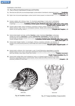 Cephalopods of the World 37 Fig. 44 Nautilidae (Nautilus)