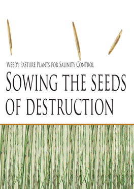 Weedy Pasture Plants for Salinity Control Sowing the Seeds of Destruction Weedy Pasture Plants for Salinity Control: Sowing the Seeds of Destruction