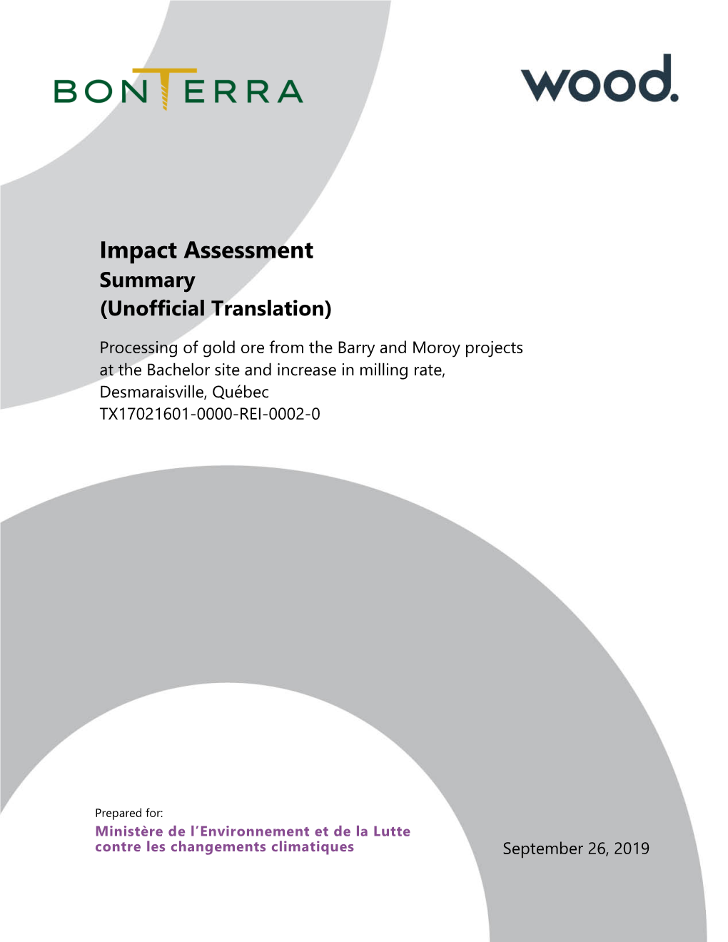 Impact Assessment Summary (Unofficial Translation)