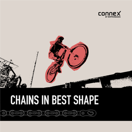 Chains in Best Shape with PASSION for BIKES