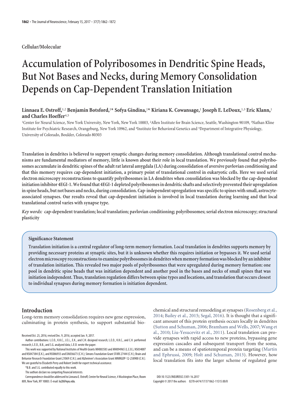 Accumulation of Polyribosomes in Dendritic Spine Heads, but Not Bases and Necks, During Memory Consolidation Depends on Cap-Dependent Translation Initiation