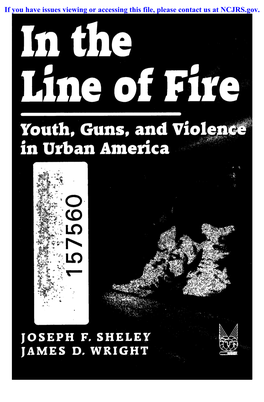 Youth, Guns, and VJ in Urban America