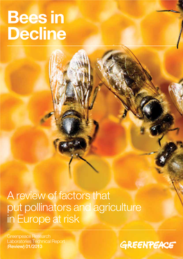 Bees in Decline [PDF]