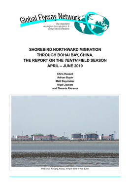 Shorebird Northward Migration Through Bohai Bay, China, the Report on the Tenth Field Season April – June 2019