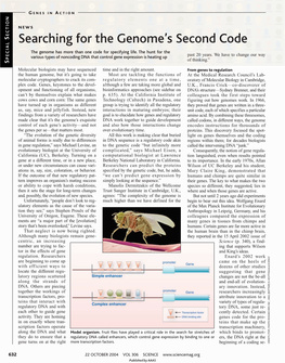Searching for the Genome's Second Code
