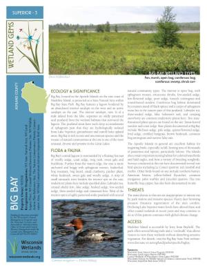 BIG BAY WETLAND TYPES Drew Feldkirchner Fen, Marsh, Open Bog, Coniferous Bog, • Coniferous Swamp, Shrub Carr ECOLOGY & SIGNIFICANCE Natural Community Types