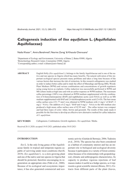 Callogenesis Induction of Ilex Aquifolium L. (Aquifoliales Aquifoliaceae)