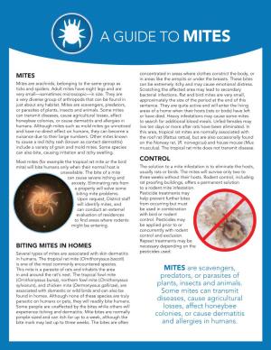 A Guide to Mites