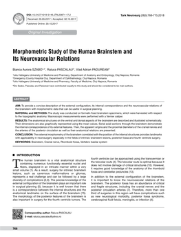 Morphometric Study of the Human Brainstem and Its Neurovascular Relations