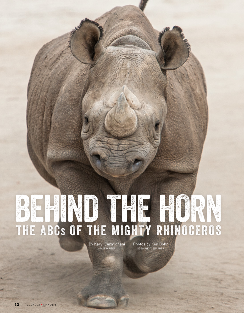 THE ABCS of the MIGHTY RHINOCEROS by Karyl Carmignani Photos by Ken Bohn STAFF WRITER SDZG PHOTOGRAPHER