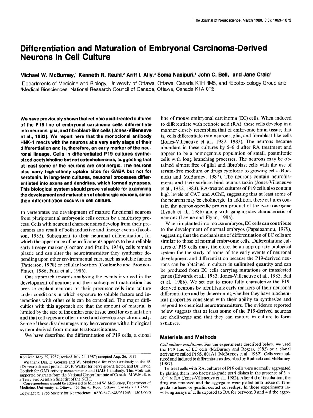 Differentiation and Maturation of Embryonal Carcinoma-Derived Neurons in Cell Culture