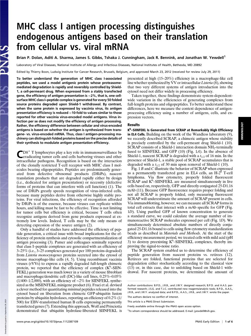 MHC Class I Antigen Processing Distinguishes Endogenous Antigens Based on Their Translation from Cellular Vs