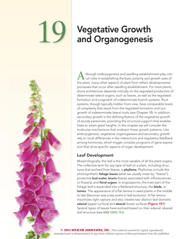 Vegetative Growth and Organogenesis 555
