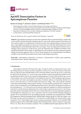 Apiap2 Transcription Factors in Apicomplexan Parasites