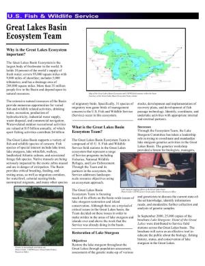 What Is the Great Lakes Basin Ecosystem Team?