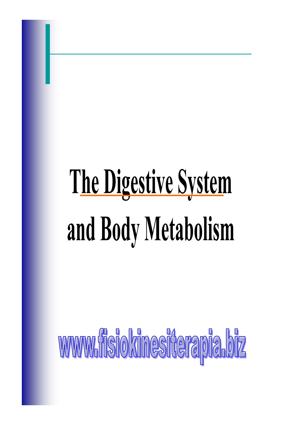 The Digestive System and Body Metabolism