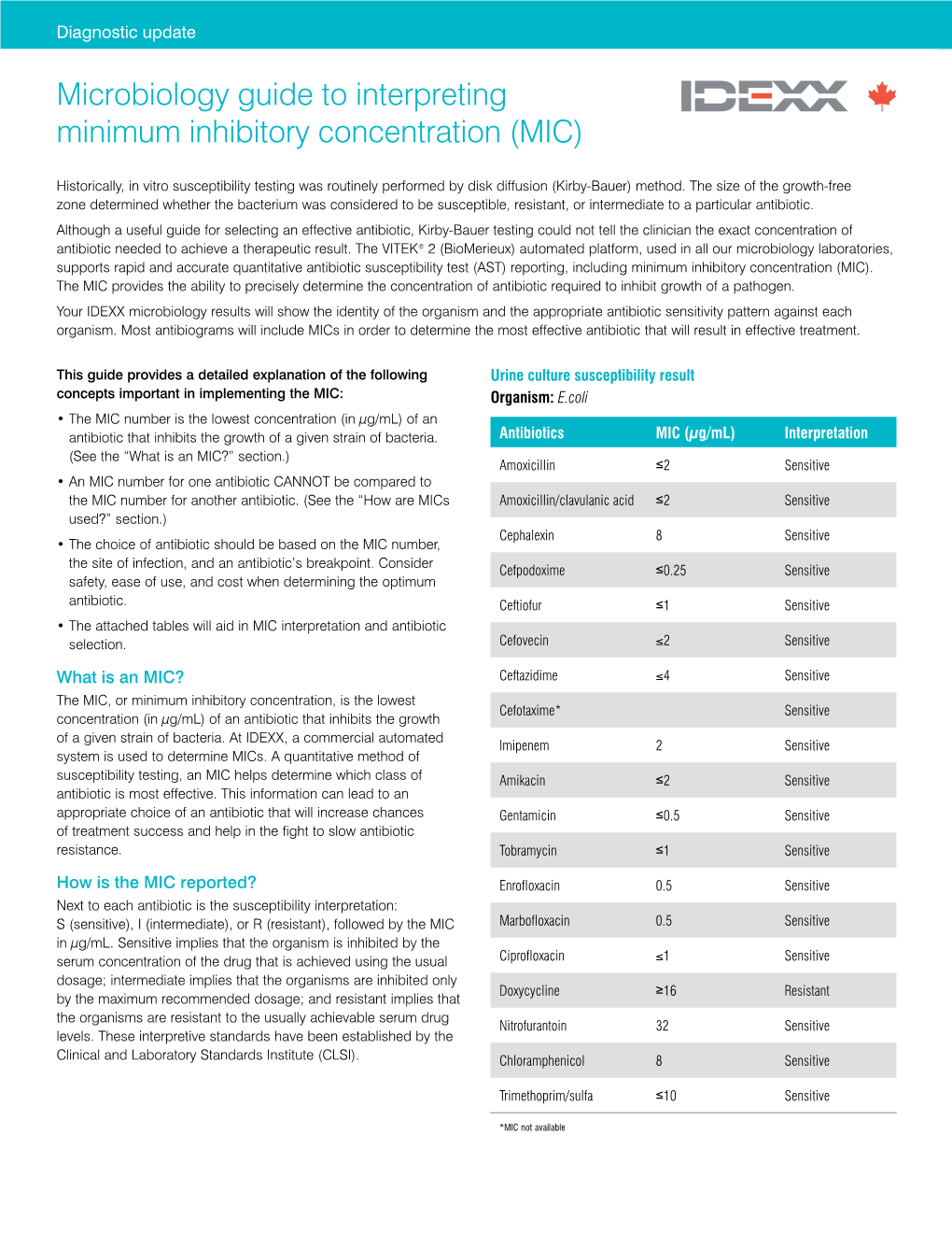 Microbiology Guide to Interpreting Minimum Inhibitory Concentration (MIC)