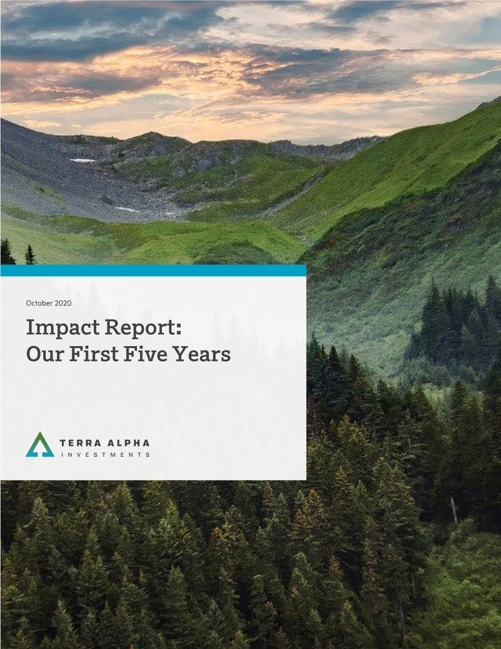 Impact Report: Our First Five Years