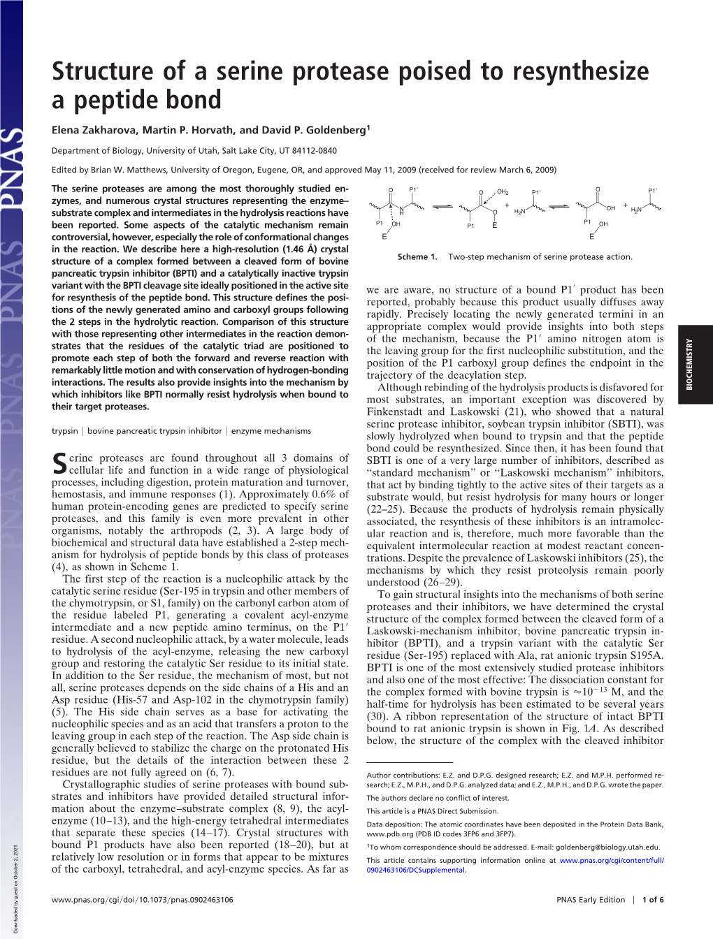 Structure of a Serine Protease Poised to Resynthesize a Peptide Bond