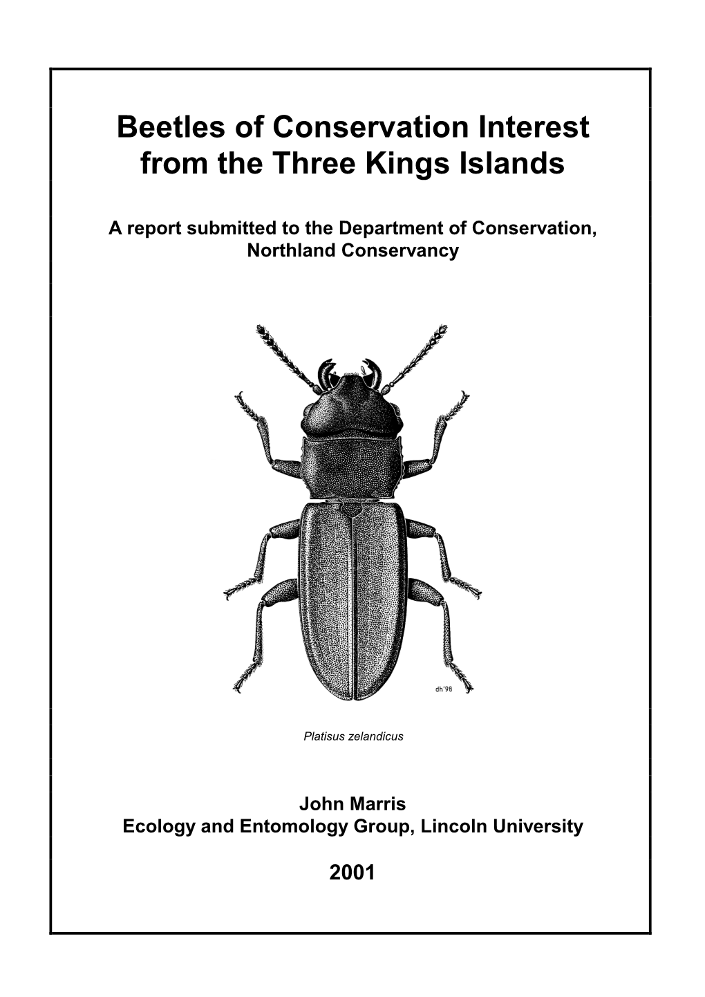Beetles of Conservation Interest from the Three Kings Islands