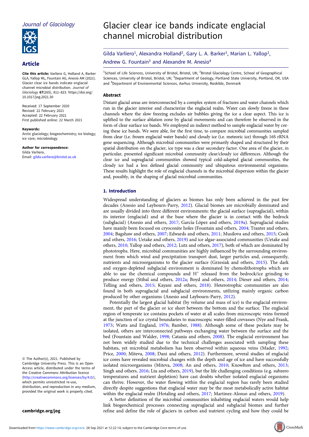 Glacier Clear Ice Bands Indicate Englacial Channel Microbial Distribution