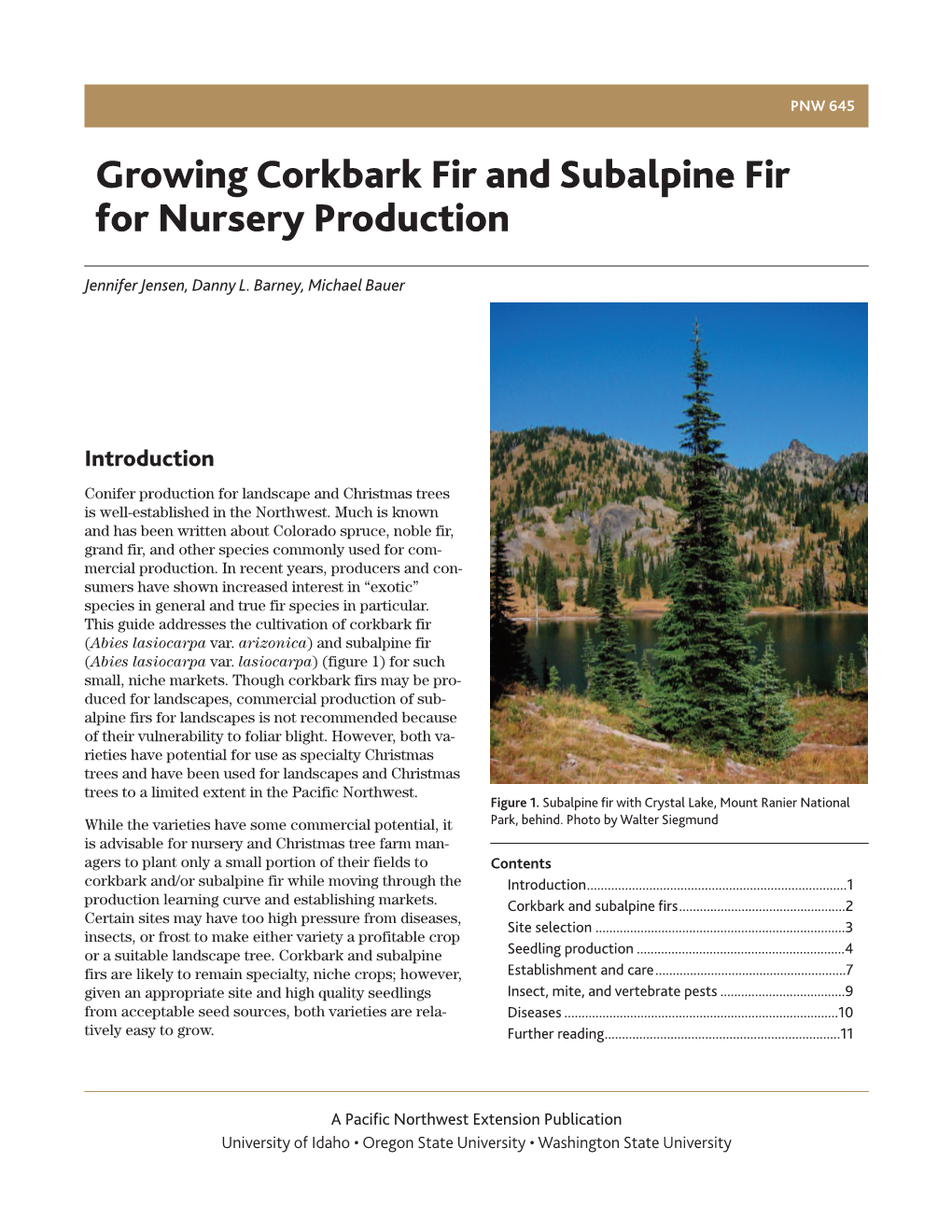 Growing Corkbark Fir and Subalpine Fir for Nursery Production