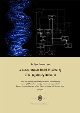 A Computational Model Inspired by Gene Regulatory Networks