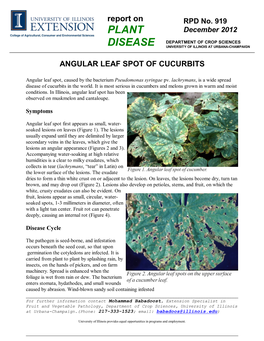 Angular Leaf Spot of Cucurbits