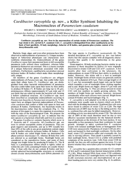Caedibacter Caryophila Sp. Nov. a Killer Symbiont Inhabiting the Macronucleus of Paramecium Caudatum