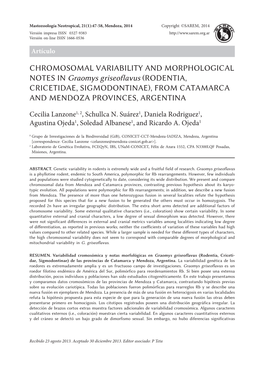 CHROMOSOMAL VARIABILITY and MORPHOLOGICAL NOTES in Graomys Griseoflavus (RODENTIA, CRICETIDAE, SIGMODONTINAE), from CATAMARCA and MENDOZA PROVINCES, ARGENTINA