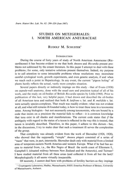 Studies on Metzgeriales: 1. North American Aneuraceae