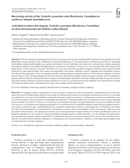 Burrowing Activity of the Neohelice Granulata Crab (Brachyura, Varunidae) in Southwest Atlantic Intertidal Areas