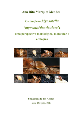 O Complexo Myosotella 'Myosotis/Denticulata'