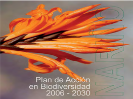 Plan De Acción En Biodiversidad Del Departamento De Nariño De Departamento Del Biodiversidad En Acción De Plan