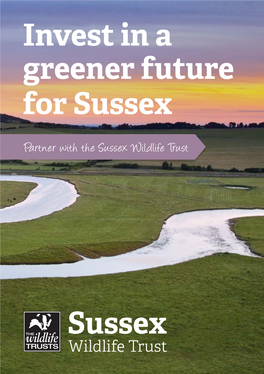 Invest in a Greener Future for Sussex