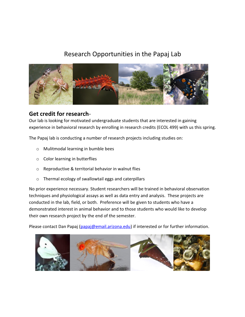 Research Opportunities in the Papaj Lab