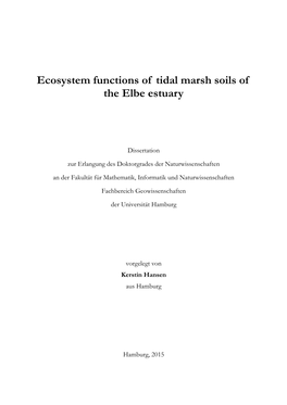 Ecosystem Functions of Tidal Marsh Soils of the Elbe Estuary