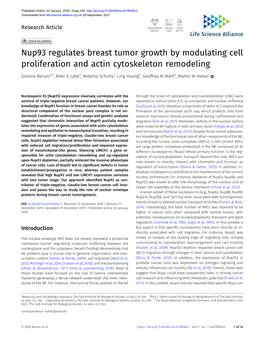 Nup93 Regulates Breast Tumor Growth by Modulating Cell Proliferation and Actin Cytoskeleton Remodeling